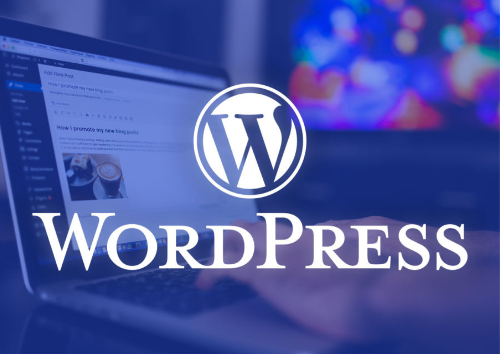 Développement des sites WordPress